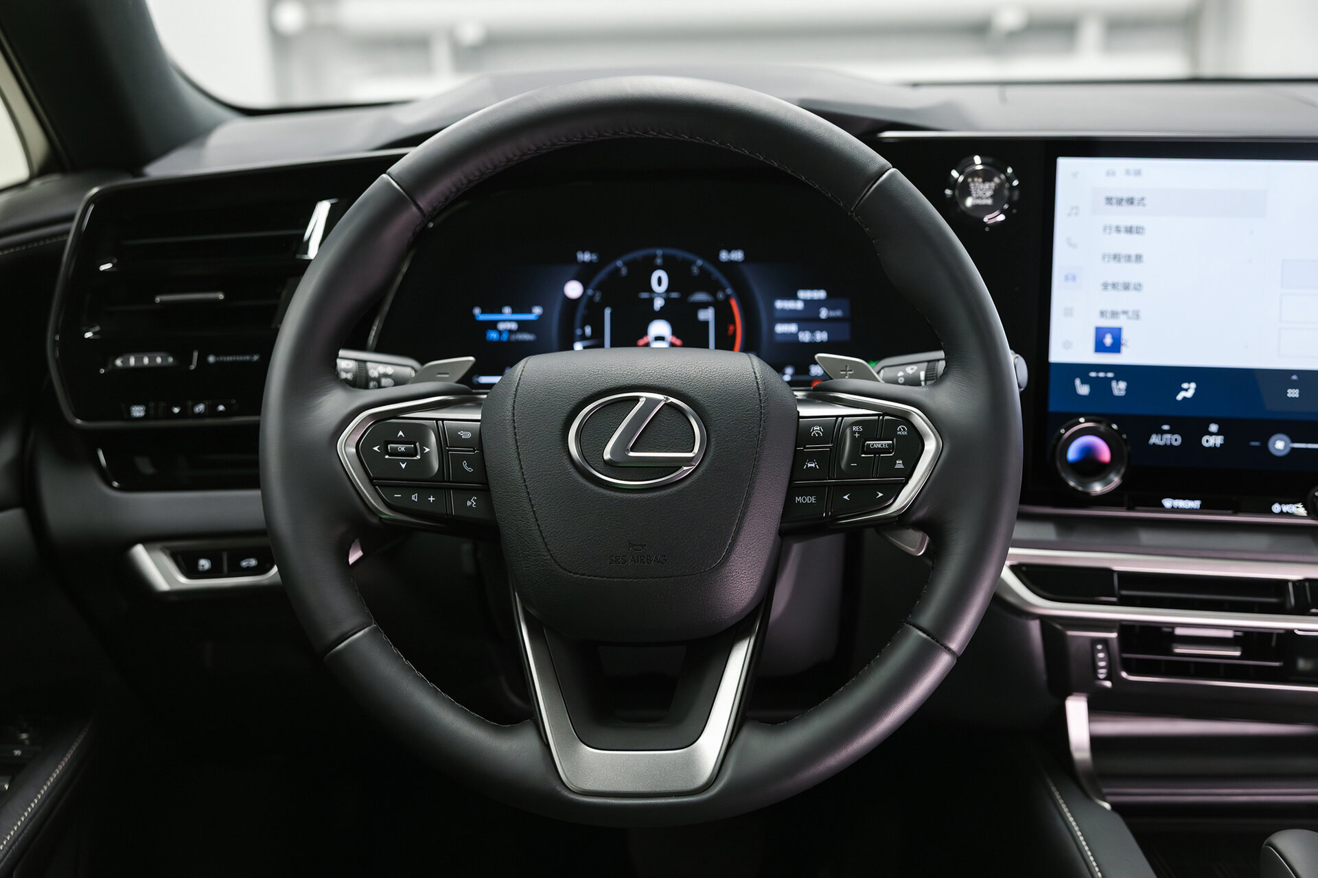 Lexus RX Enjoy — миниатюра 16