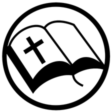 Логотип диалога Алисы