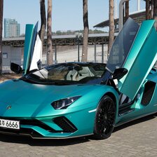 Логотип диалога Алисы