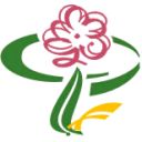Магазин Фелиция Киров Официальный Сайт