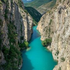 Логотип диалога Алисы