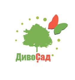 Дивосад Артемовский Питомник Интернет Магазин