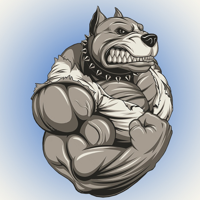 Медведь качок рисунок