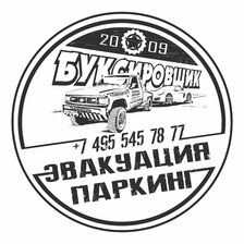 Логотип диалога Алисы