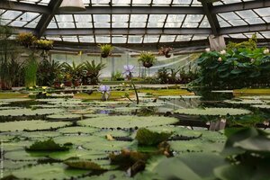 «Ботанический сад Петра Великого» фото 1