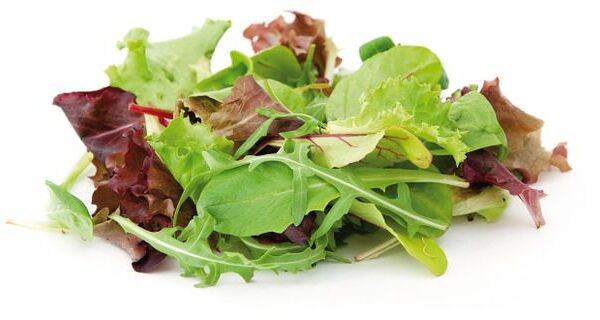 Салат листовой месклам 120 г