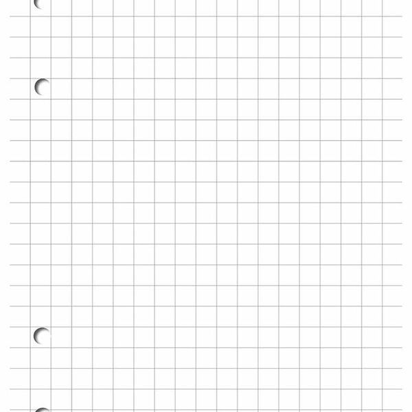 Блок сменный в клетку А4 ТМ Апплика, 100 л