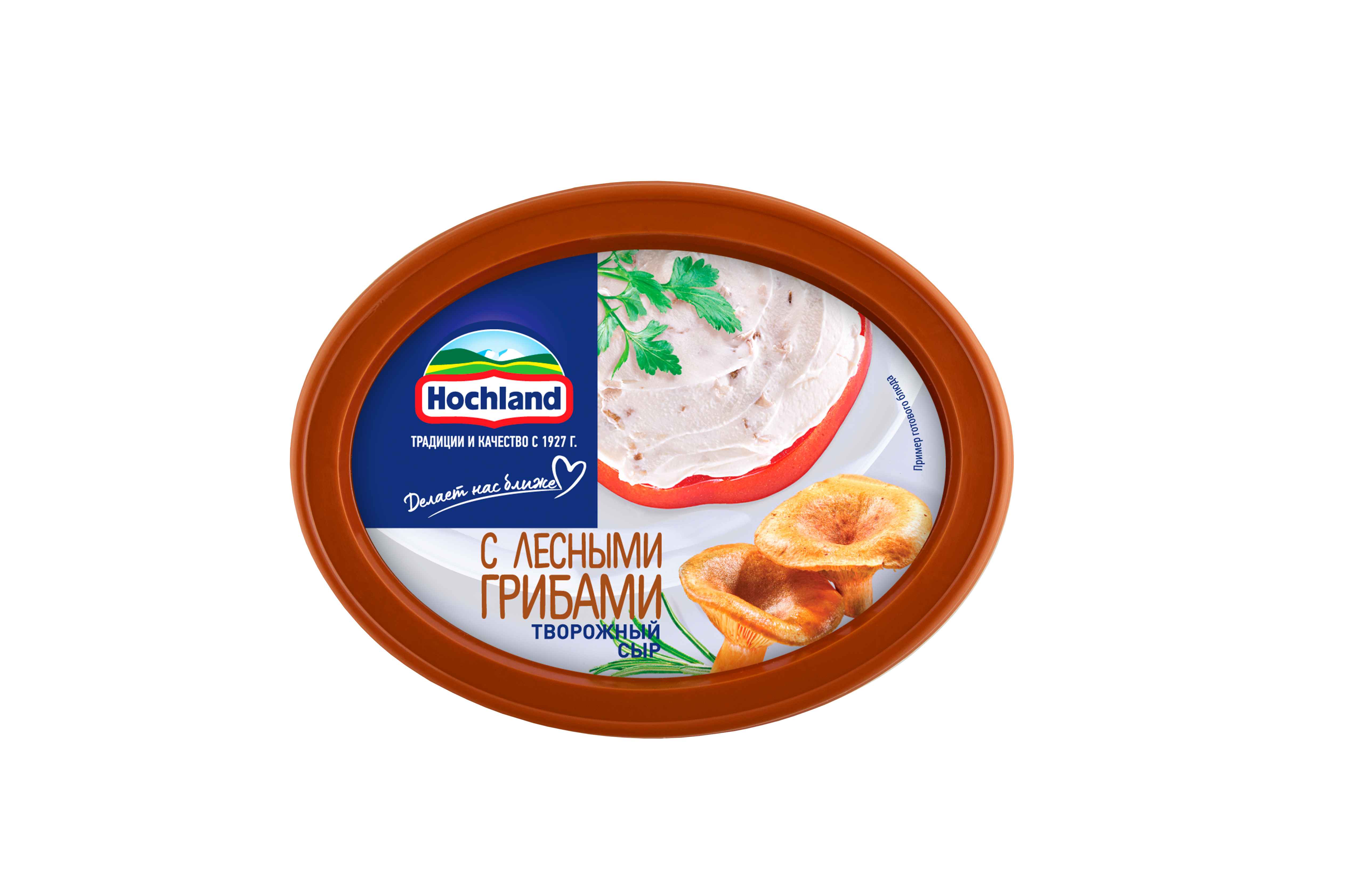 

Сыр творожный Hochland с лесными грибами 60% 140 г
