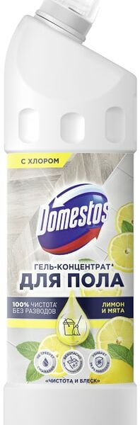 Средство чистящее Domestos Чистота и Блеск для мытья пола и других поверхностей Лимон и мята 1л