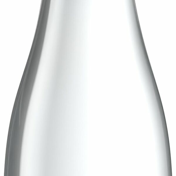 Тоник Rich tonic Индиан стекло 330 мл