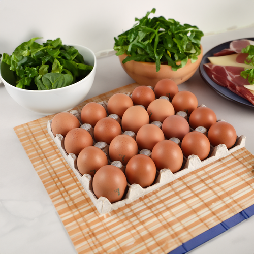 

Яйцо куриное Праксис С1 коричневое 20 шт.