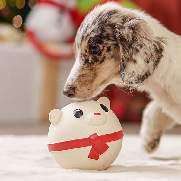 Игрушка для собак Мяч, 10 см