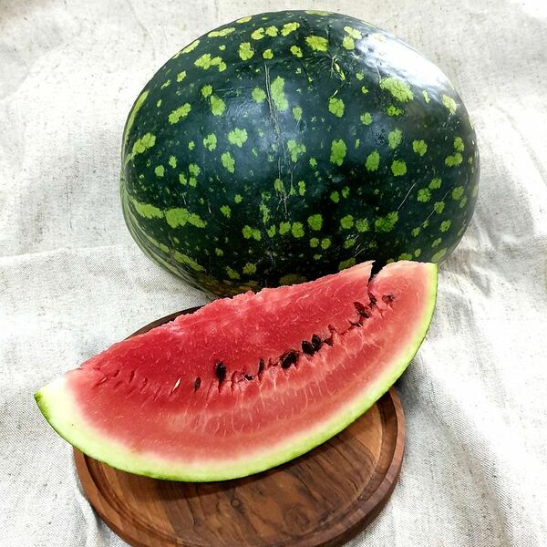 Арбуз  Астрахань (12-15 кг)(Danilovskymarket)