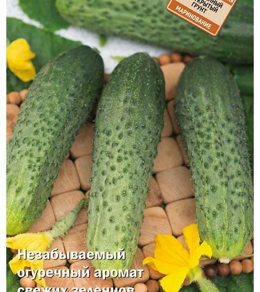 Семена огурец Вкус Детства ТМ Поиск