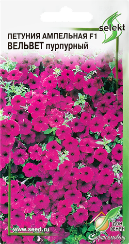 

Семена ДОМ СЕМЯН Петуния ампельная Вельвет, в ассортименте