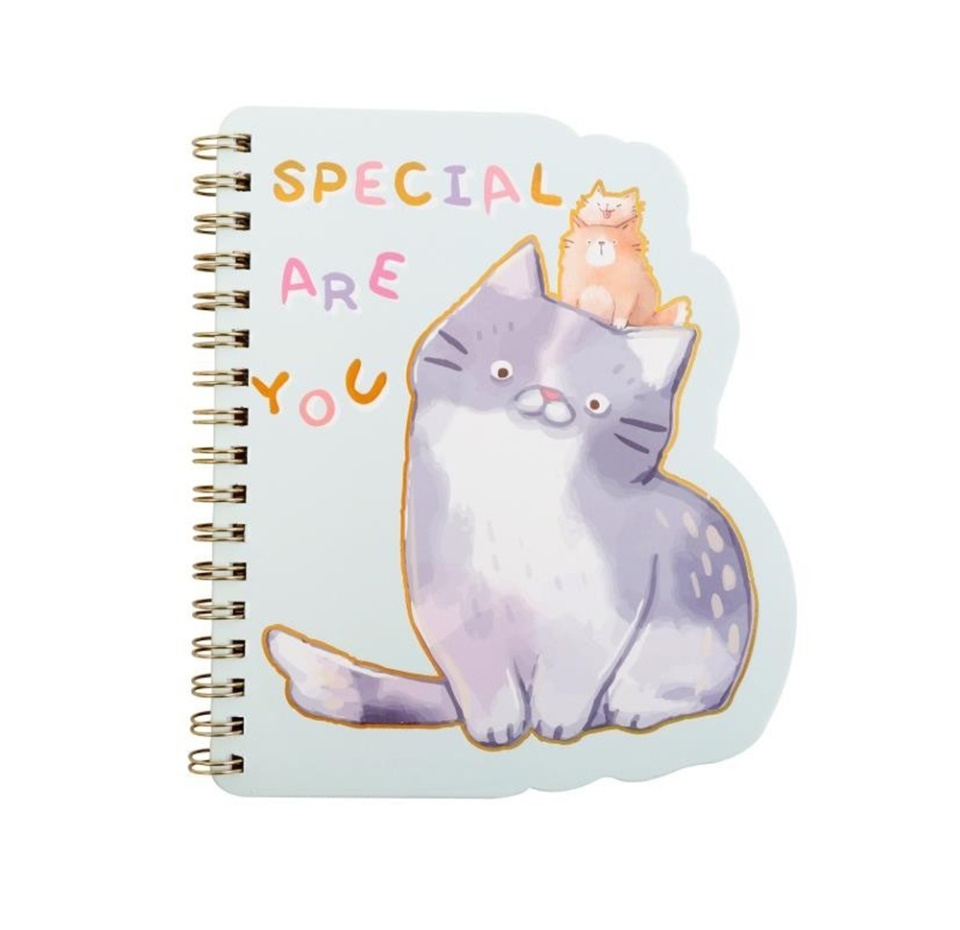 

Блокнот iLikeGift на спирали Cat you are special зеленый, 60л