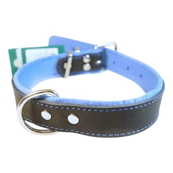 Ошейник Аркон Фетр черно/голубой для собак 3,5*42-56 см