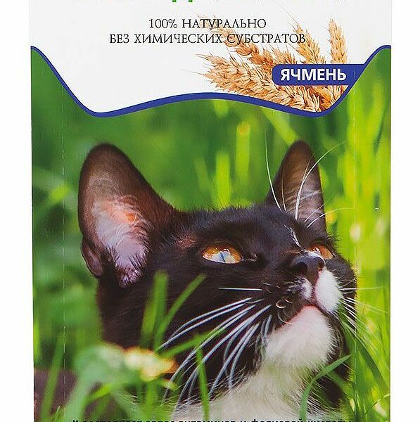 Травка для кошек TITBIT ячмень 60 г