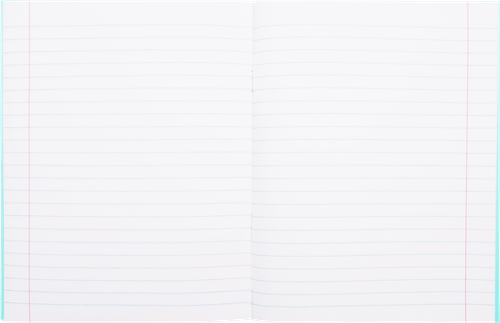 

Тетрадь ПЗБМ линия A5 12 листов в линейку 1 шт.