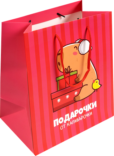 Пакет Капибара 25х22х12 см в ассортименте