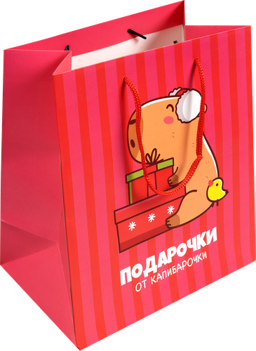 

Пакет Капибара 25х22х12 см в ассортименте