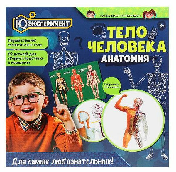 Набор для опытов IQ Эксперимент Тело человека. Анатомия