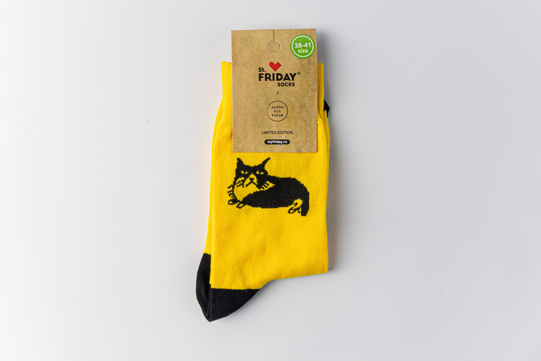 

Носки "Кот средних лет" , размер 38-41