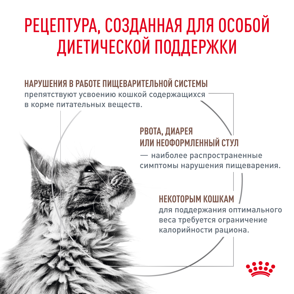 

Корм сухой Royal Canin Gastrointestinal Moderate Calorie для взрослых кошек, склонных к набору веса, при расстройствах пищеварения, 2 кг