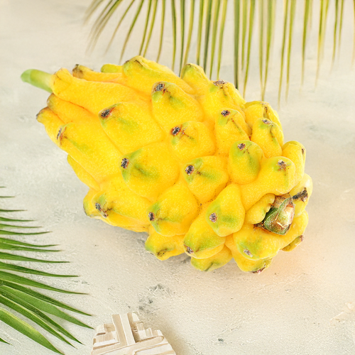 

Питахайя желтая Artfruit 1 шт