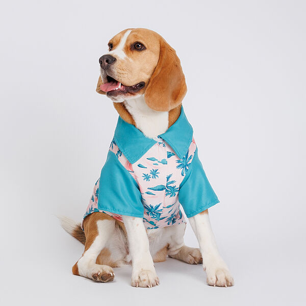 Футболка голубая с принтом 50см