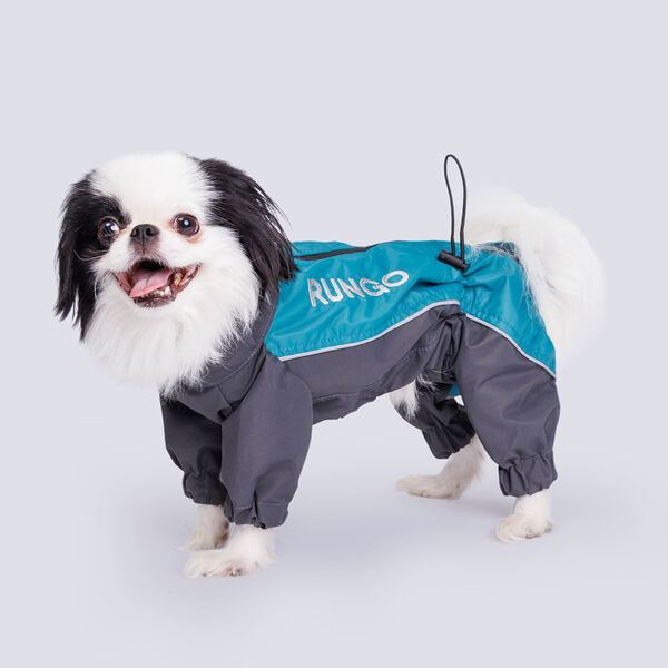 Дождевик Йорк, Чихуа мальчик XL бирюзовый