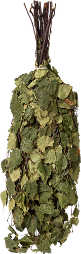 Веник банный 365 ДНЕЙ березовый, Арт. Б191Л