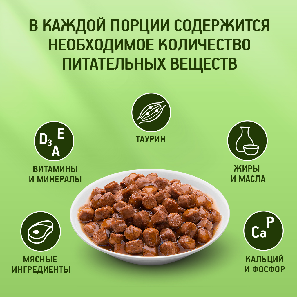 

Влажный корм Kitekat для взрослых кошек Лакомый ягнёнок в соусе 85 г