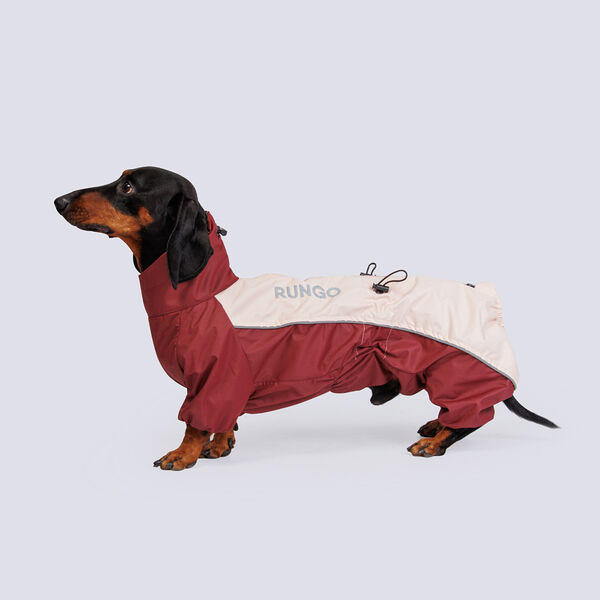 Дождевик с мембраной и резиновой молнией для средней Таксы, 2XL, бежевый (мальчик)