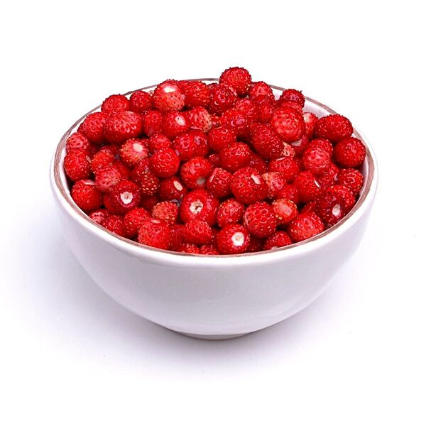 Земляника лесная