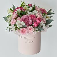Изображение 1