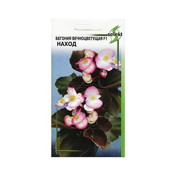 Семена Бегония вечноцветущая Наход