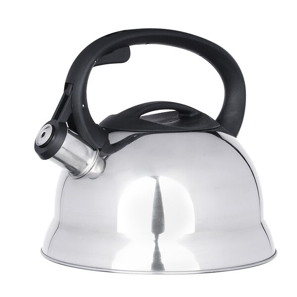 Чайник стальной 2.5л 