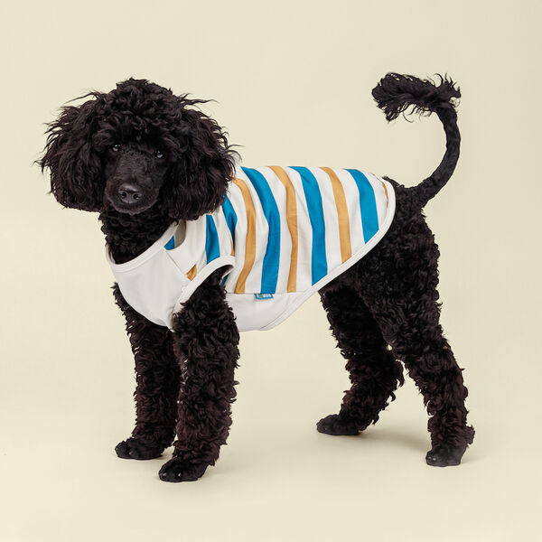 Майка песочно-синяя в полоску 3XL