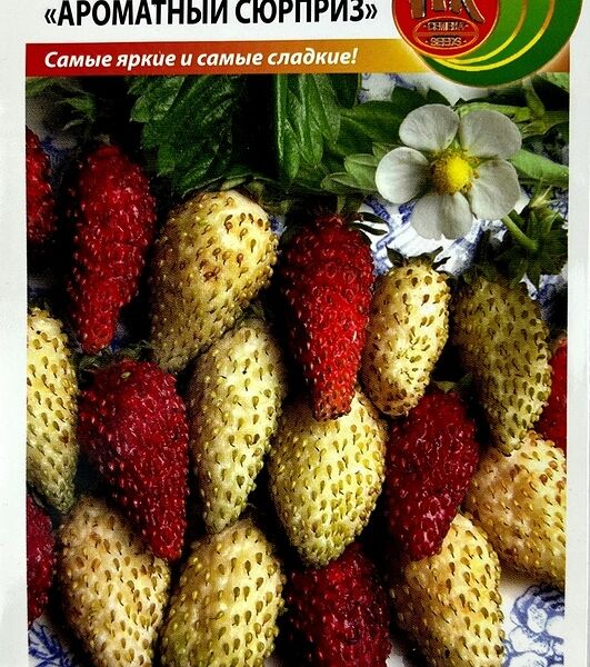 Семена Русский Огород Земляника Ароматный сюрприз 120шт