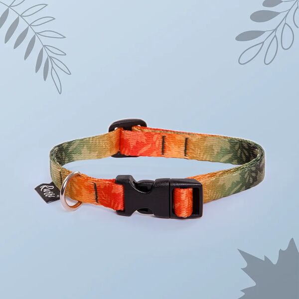 Ошейник для собак Bright City, длина 35-56 см, ширина 20 мм