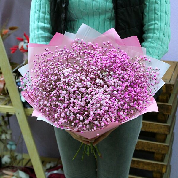 Воздушная гипсофила