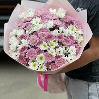 Изображение 3