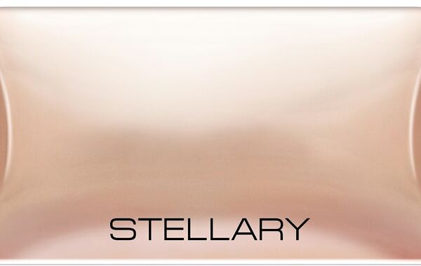 Пудра компактная для лица Stellary Compact powder с зеркалом Слоновая кость Тон 02