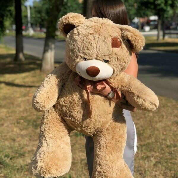 Плюшевый медведь