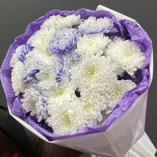 Букет пухляш #38