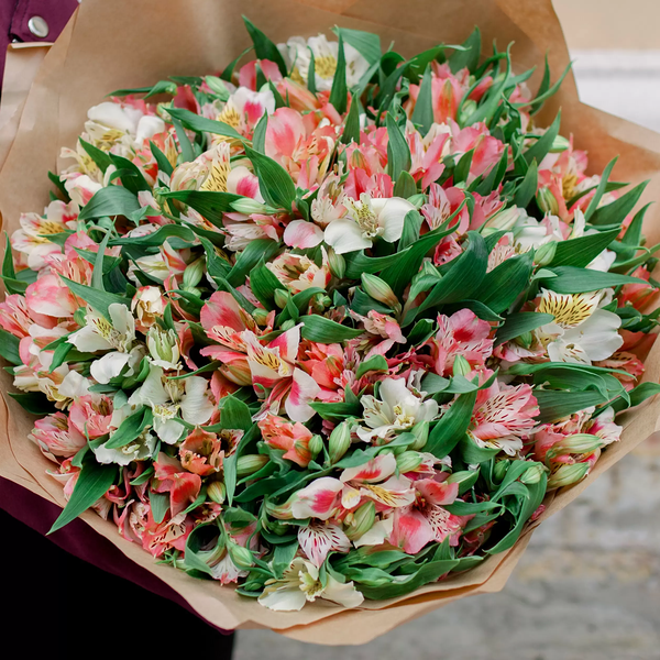 Букет из 51 альстромерии нежный микс в упаковке