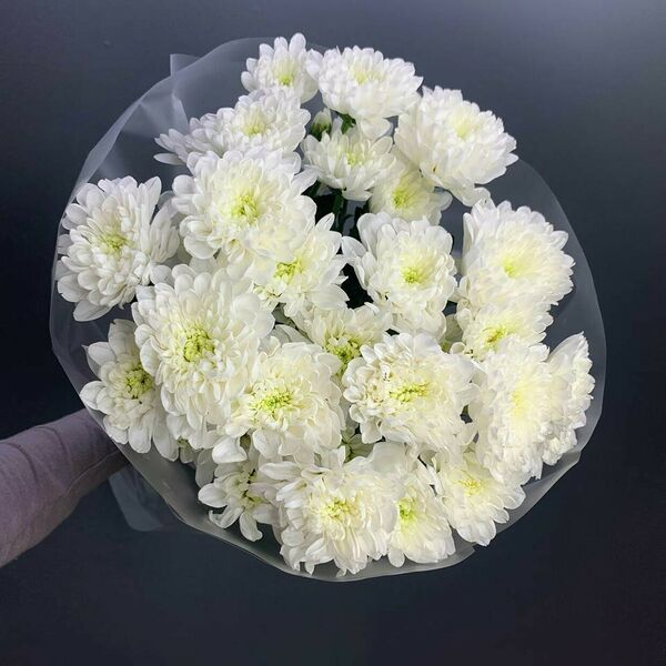 5 кустовых хризантем