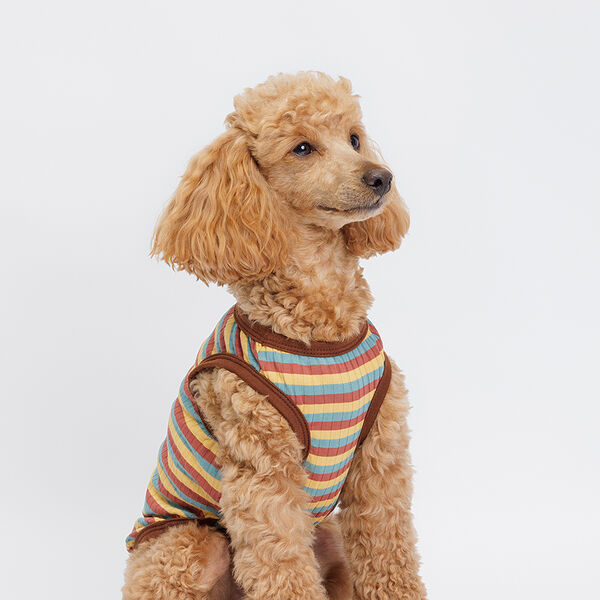 Майка полосатая с ленивцем для собак и кошек, L, коричневая