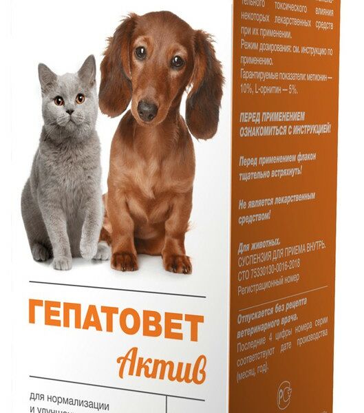 Суспензия для кошек и собак Apicenna Гепатовет Актив, 50 мл